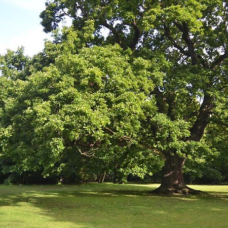 ホテル Gilwell Park チングフォード エクステリア 写真