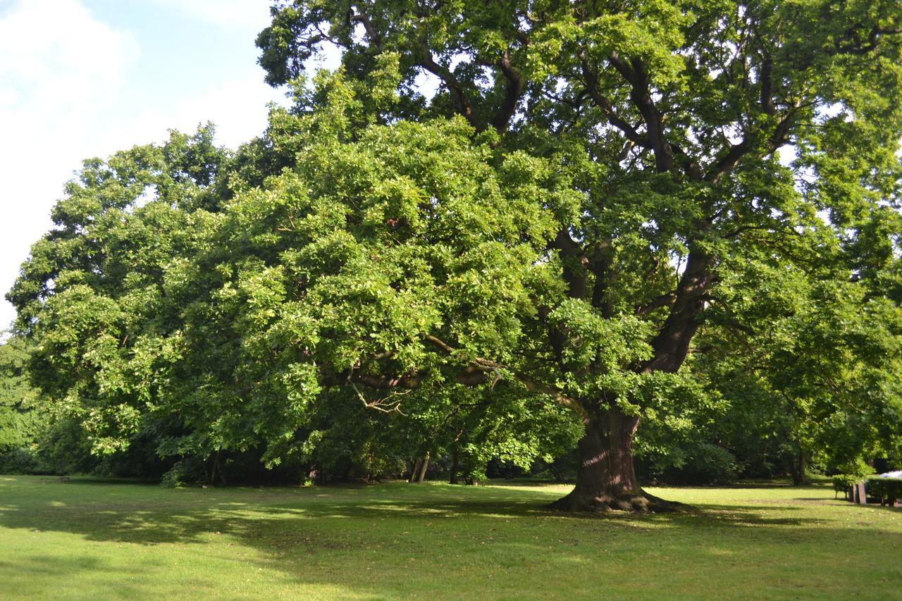 ホテル Gilwell Park チングフォード エクステリア 写真
