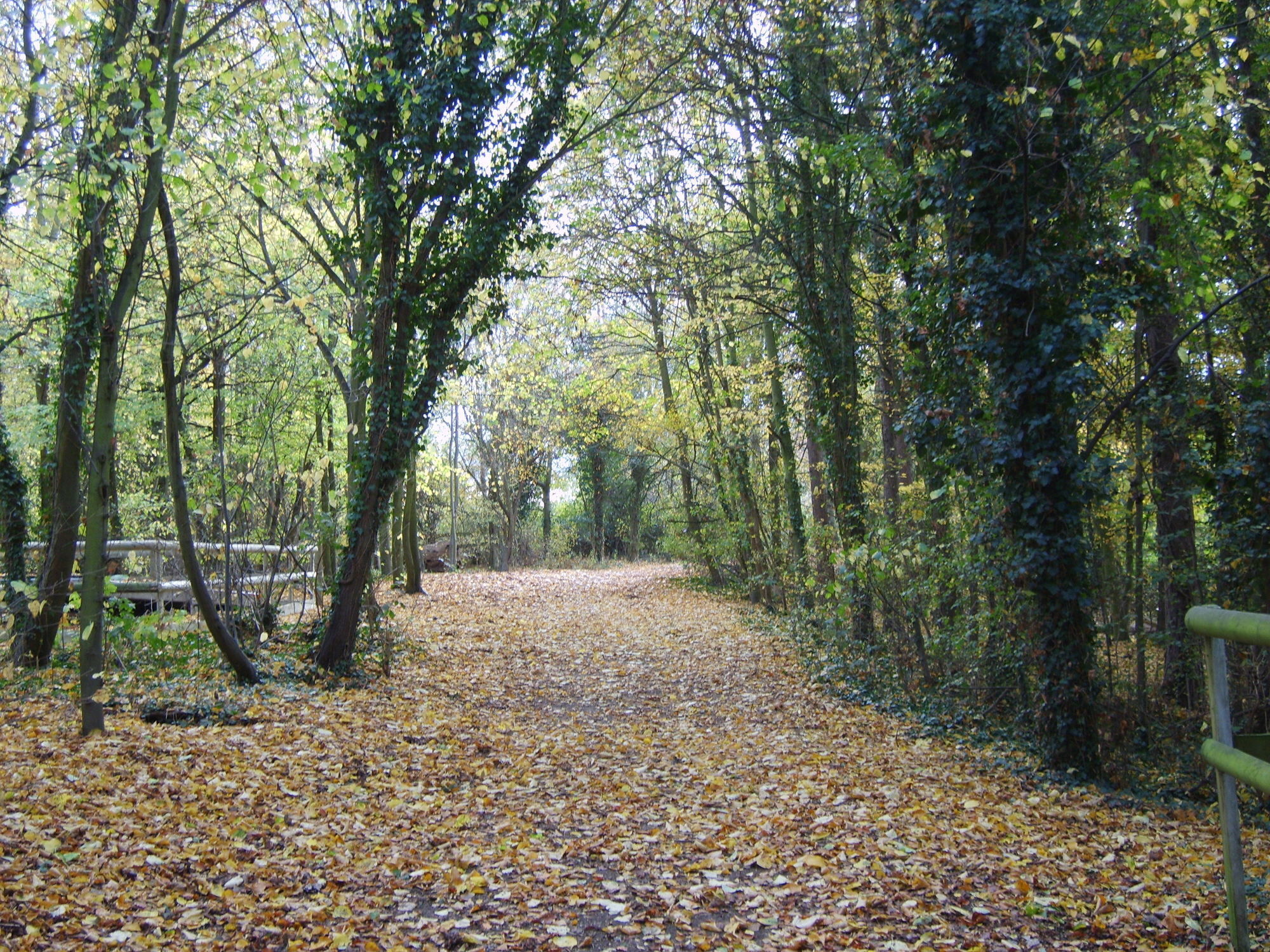 ホテル Gilwell Park チングフォード エクステリア 写真